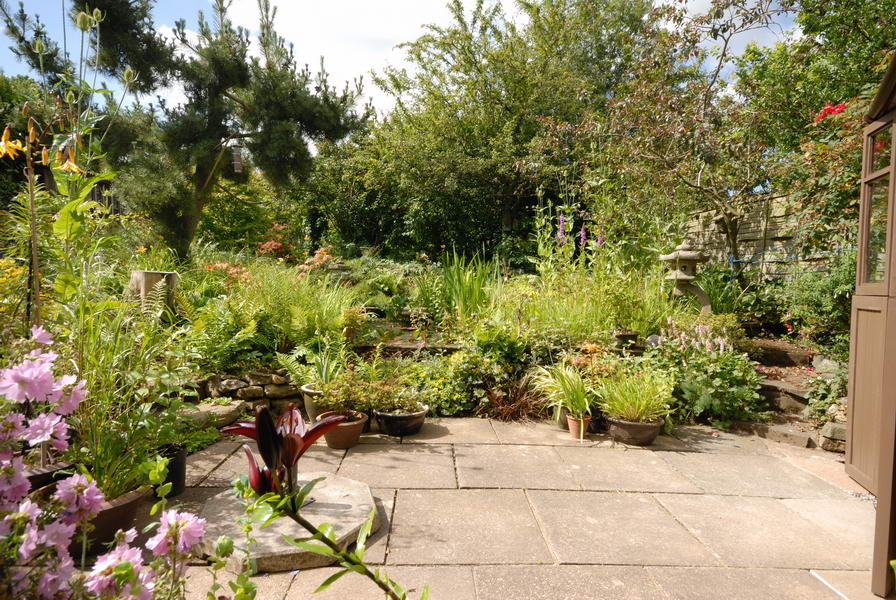 Patio view from lounge